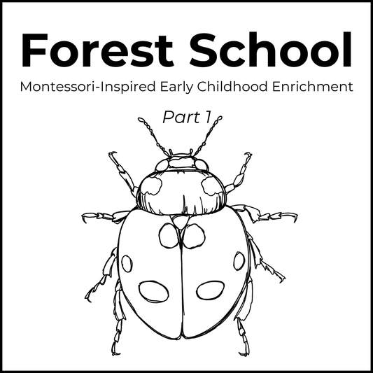 Forest School - Part 1
