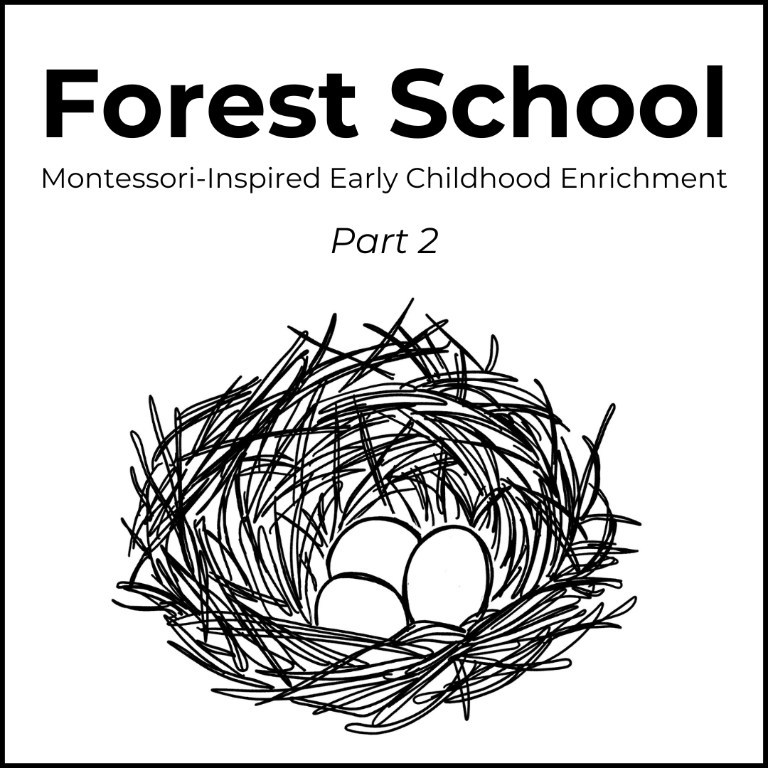 Forest School - Part 2